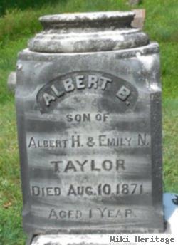 Albert B Taylor