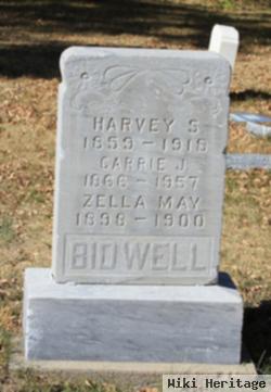 Harvey S. Bidwell