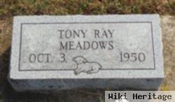 Tony Ray Meadows