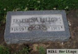 Tryphena Fellows