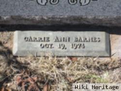 Carrie Ann Barnes