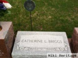 Catherine L Sattler Briggs