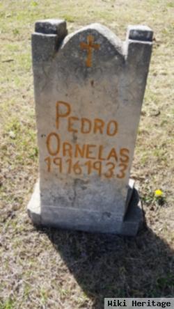 Pedro Ornelas