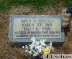 David T. Webster