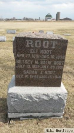 Eli Root