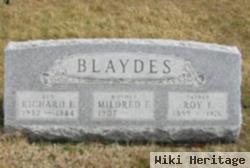 Roy E. Blaydes