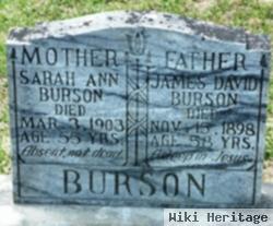 Sarah Ann Vestal Burson