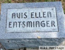 Avis Ellen Fry Entsminger