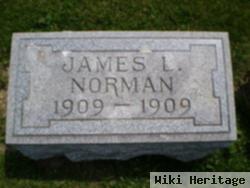 James L Norman