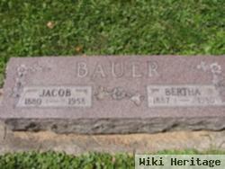 Jacob Bauer