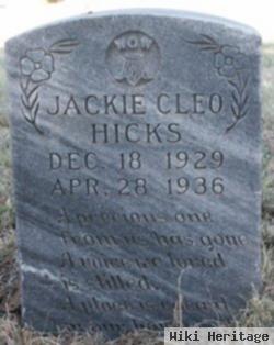 Jackie Cleo Hicks