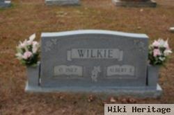 Albert E. Wilkie
