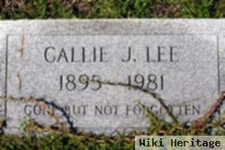 Callie Jane Johnson Lee