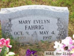 Mary Evelyn Stautzenberger Fahrig