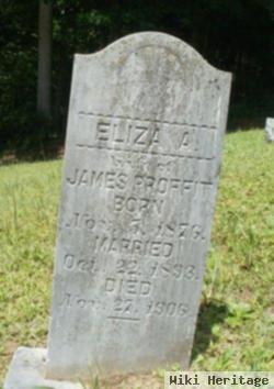 Eliza Miller Proffit