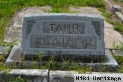 Mary A Tarr