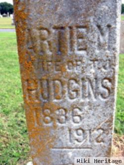 Artemisa Endicott Hudgins