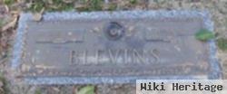 Henry Lee Blevins, Jr