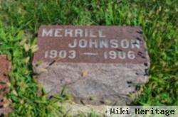 Merrill Everett Johnson