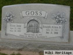 Eliza Jane Hoggan Goss