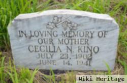 Cecilia N. Kino