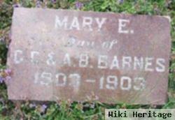 Mary E. Barnes