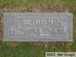 William A Ferguson