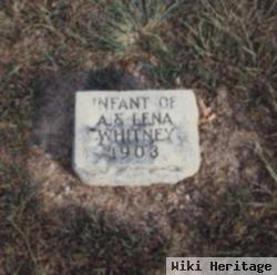 Infant Whitney