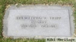 Llewellyn Raymond Tripp