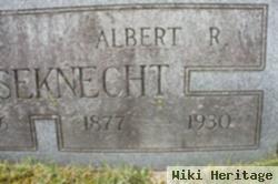 Albert Rush Houseknecht