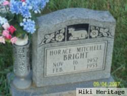 Horace Mitchell Bright