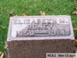 Elizabeth M Roney