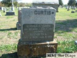 Elizabeth A. Curtis