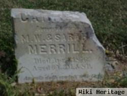 Carrie Jane Merrill