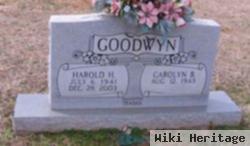 Harold H. Goodwyn