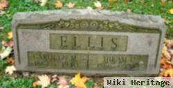 Hiram O Ellis