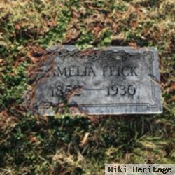 Amelia Feick