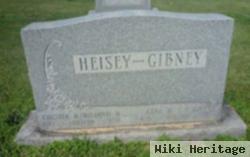 Gene M Heisey Gibney