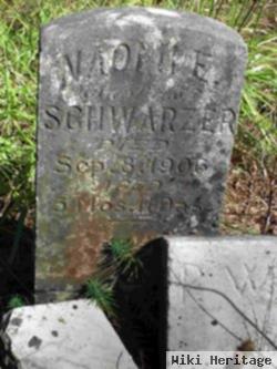 Naomi E. Schwarzer