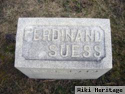 Ferdinand Suess