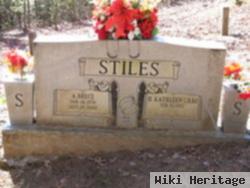 H. Kathleen Cabe Stiles