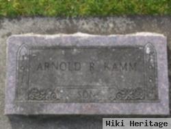 Arnold R Kamm