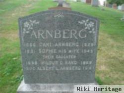 Albert L Arnberg