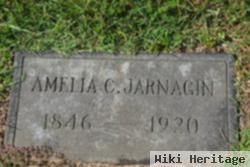 Amelia Caroline Fisher Jarnagin