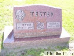 C. Wayne Tester