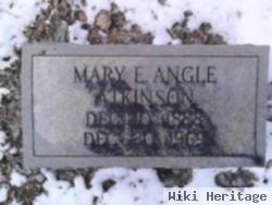Mary E Angle Atkinson