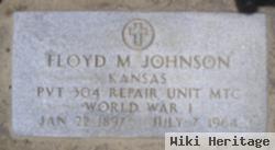 Floyd Minard Johnson