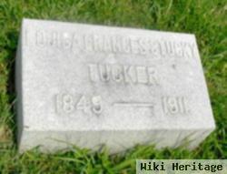 Louisa Frances Stucky Tucker