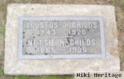 Nettie N. Childs