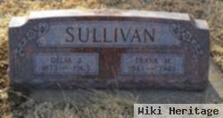 Francis Marion Sullivan